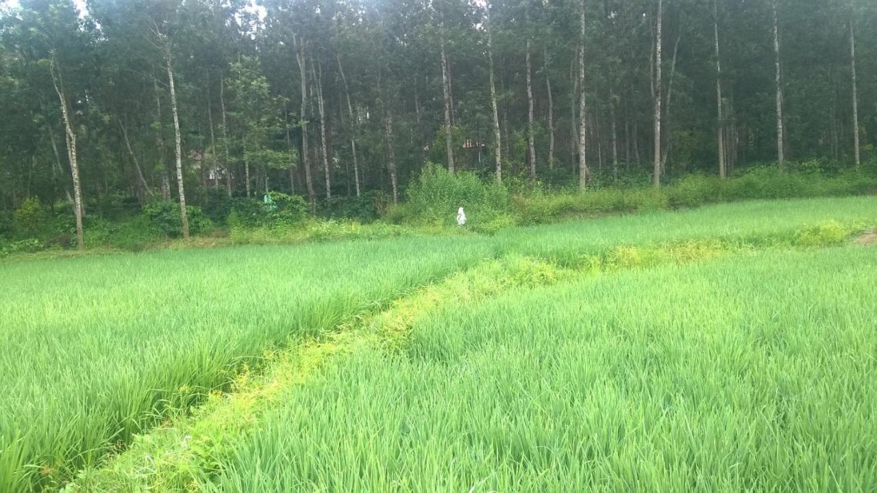 Rai Cottage @ Coorg ,Suntikoppa Екстериор снимка