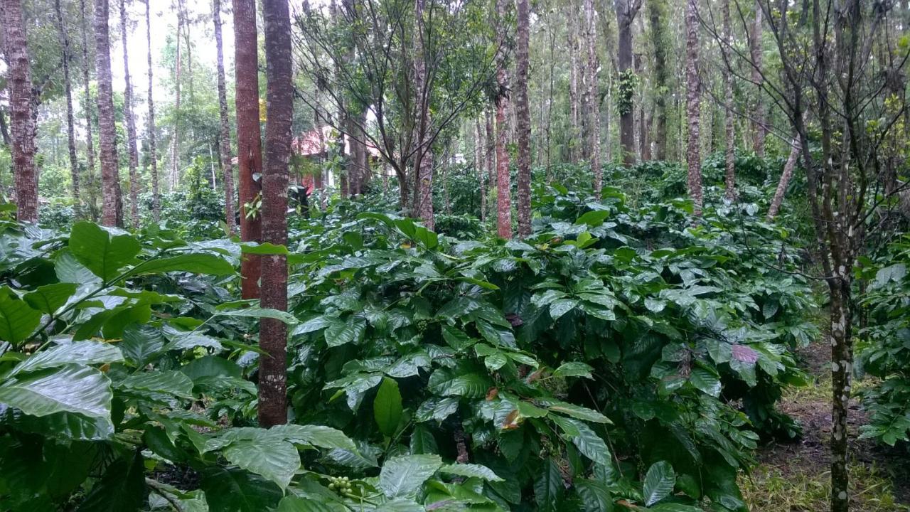 Rai Cottage @ Coorg ,Suntikoppa Екстериор снимка