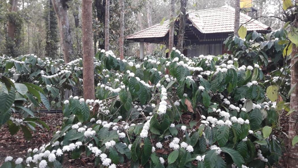 Rai Cottage @ Coorg ,Suntikoppa Екстериор снимка