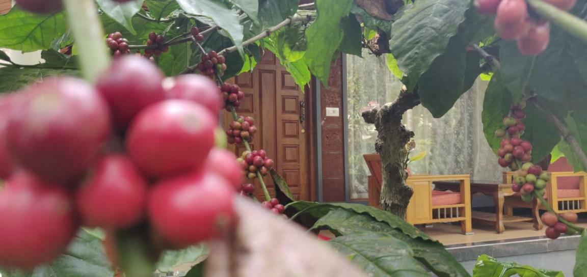 Rai Cottage @ Coorg ,Suntikoppa Екстериор снимка