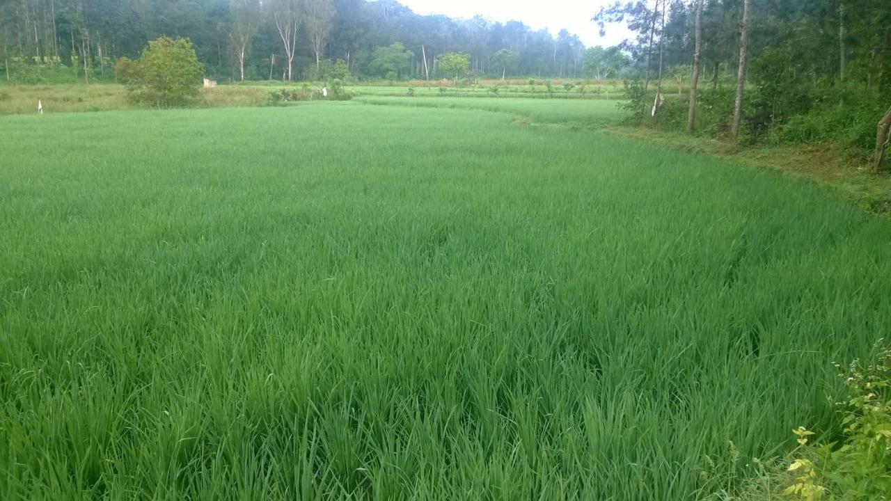 Rai Cottage @ Coorg ,Suntikoppa Екстериор снимка