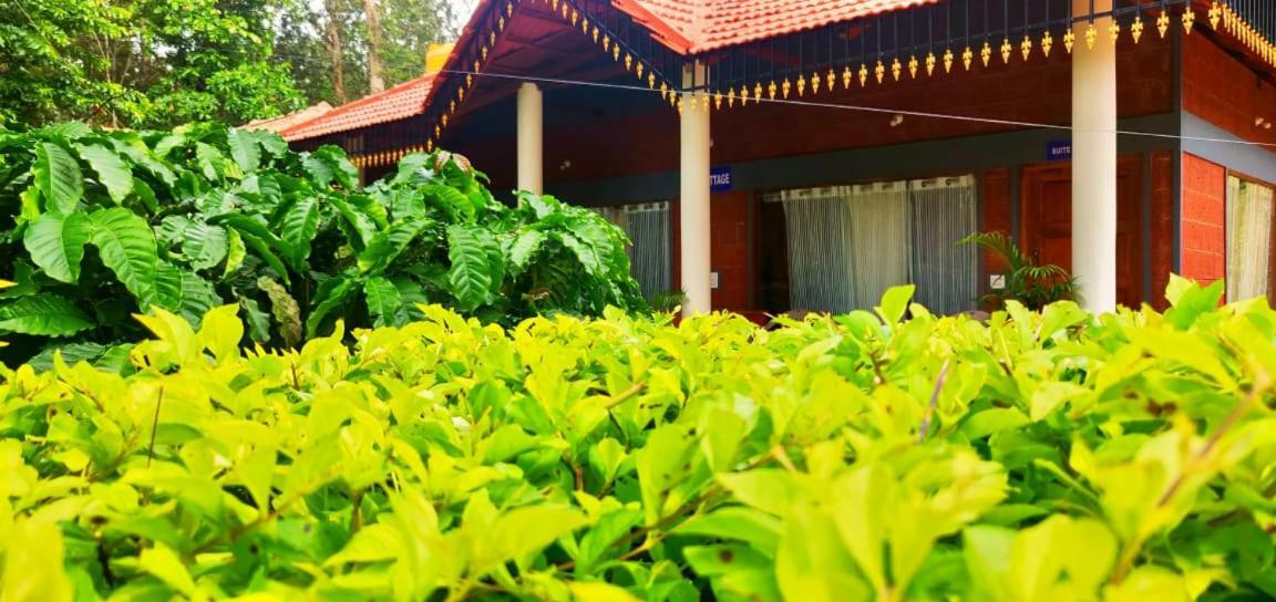Rai Cottage @ Coorg ,Suntikoppa Екстериор снимка